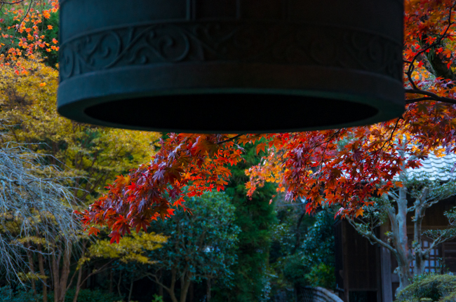 鎌倉海蔵寺の紅葉-5