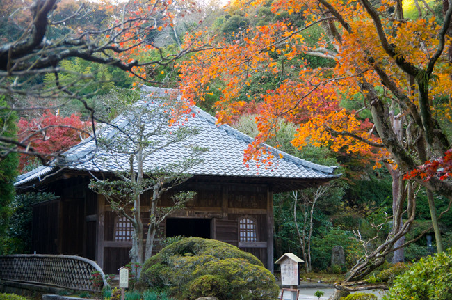 鎌倉　海蔵寺の紅葉  2015